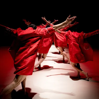 Loyola Dance Program (@lucdanceprogram) • Instagram photos and videos