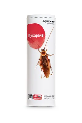 Биолог Москаев рассказал, как выжить из квартиры тараканов
