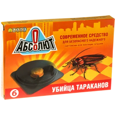 Тюменцы считают, что «борцы с тараканами» подкидывают тараканов в подъезды  | ОБЩЕСТВО: События | ОБЩЕСТВО | АиФ Тюмень