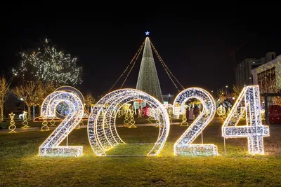 Как выглядит Главная ёлка страны 2023-2024 в Ташкенте — Афиша Ташкента