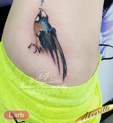 Тату птицы. Татуировка с птицей для девушки. 100+ татуировок и эскизов на  нашем сайте, заходи! | Татуировка с фениксом, Татуировки, Тату