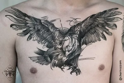 Значение татуировки птица - смысл, история и примеры