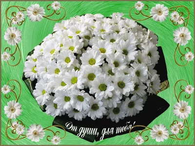 Все цветы мира для тебя! открытки, поздравления на cards.tochka.net