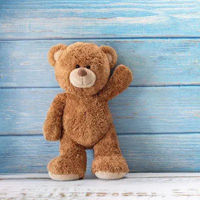 Gund, Inc. Teddy Bear Plush Stuffed Animal Chocolate Brown 13 Inch |  Walgreens