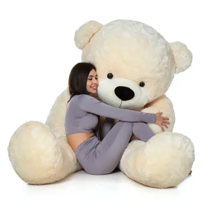 Stuffed Teddy Bear Nanny Camera with Voice Recording and Live Viewing - SSS  Corp.