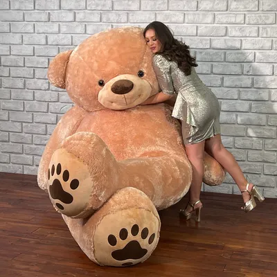 Cute teddy bear 8505535 PNG
