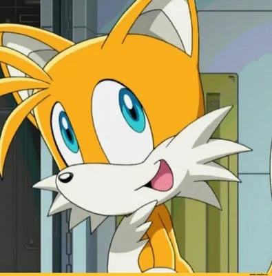 21-е ноября - день рождения Тейлза из «Sonic» / Miles \"Tails\" Prower  (Лисёнок Тейлз, Лисенок Тейлз, Лис Тейлз, Майлз Прауэр) :: StH Персонажи ::  Sonic (соник, Sonic the hedgehog, ) :: день