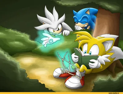 А если бы на месте тейлза был наклз? / Sonic (соник, Sonic the hedgehog, )  :: разное / картинки, гифки, прикольные комиксы, интересные статьи по теме.