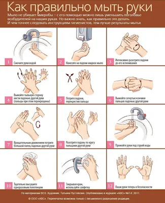 Всемирный день чистых рук: когда и как правильно мыть руки? | Управление  Роспотребнадзора по Калининградской области