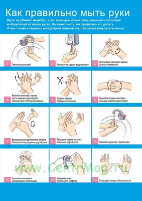 Гигиена мытье рук | Dentistry, Health, Kids
