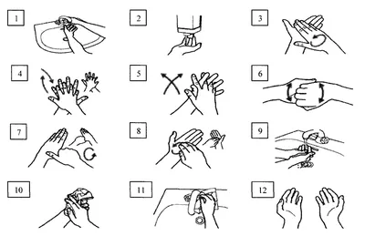 Как правильно мыть руки? | e-euroaptieka.lv