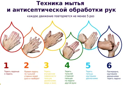 Плакат \"Инструкция по мытью рук\" - купить в интернет-магазине CentrMag по  лучшим ценам! (00-00006029)