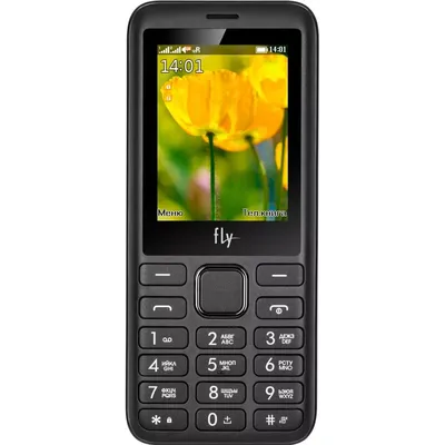 Смартфон Fly FS 517 Cirrus 11 8 ГБ черный купить - цена в интернет-магазине  Brain Smart Симферополь, Крым