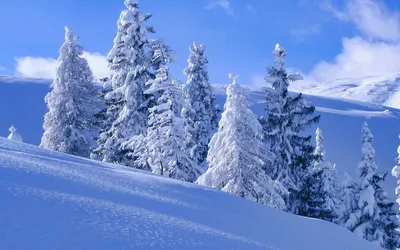 Image Christmas Snowflakes Snow Balls Pine cone 640x960