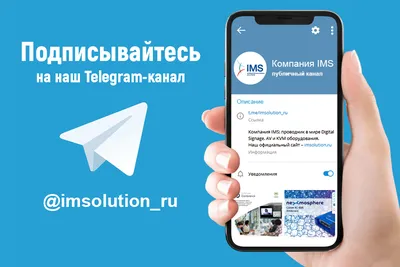 Компания IMS запустила Telegram-канал - Компания «IMS»
