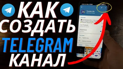 Telegram по-псковски: 10 лет «в эфире» : Псковская Лента Новостей / ПЛН