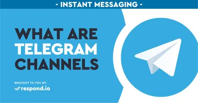 How to Know If Someone Read Your Message on Telegram? - Tech Junkie