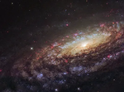 Телескоп \"Хаббл\" сделал уникальный снимок галактики, похожей на Млечный  Путь | УНИАН