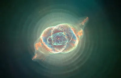 Телескоп «Хаббл» запечатлел редкую радиогалактику со светящимся «сердцем» -  Газета.Ru | Новости