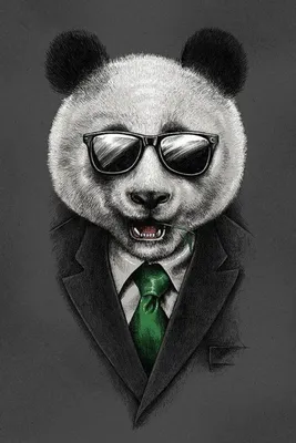 Pandastyle! | Panda art, Bear art, Art