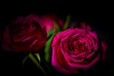 Темно-розовый фон обоев, абстрактный фон Стоковое Фото - изображение  насчитывающей красно, обои: 162362420
