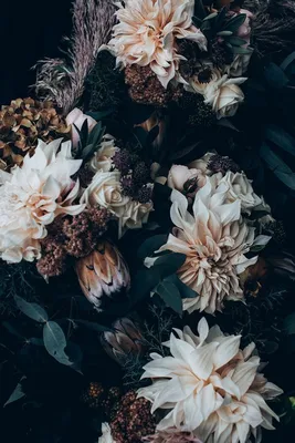 Прекрасное | Floral photography, Dark flowers, Floral wallpaper