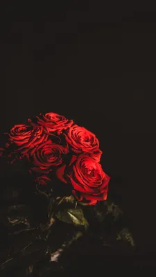 Скачать 938x1668 розы, букет, цветы, темный, красный обои, картинки iphone  8/7/6s/6 for parallax