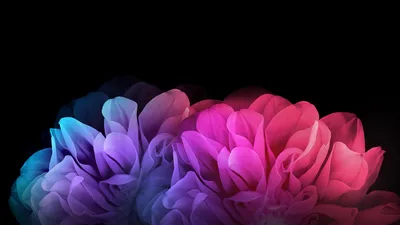 Пин от пользователя Art Resin Acrylic Watercolor O на доске ❌❌❌sweet | Цветы,  Темные цветы, Обои для iphone