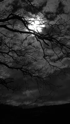 Тёмные обои | Moon photography, Dark black wallpaper, Dark photography |  Dark black wallpaper, Iphone background art, Dark landscape