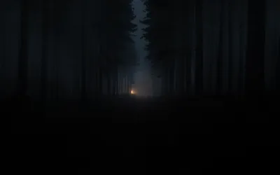Картинки темный, лес, туман, деревья, забор - обои 2560x1600, картинка  №419338