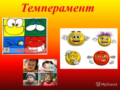 Характер и темперамент человека: что это такое, чем отличаются понятия в  структуре личности, различия между определениями в психологии,  сравнительная характеристика – nenumerolog