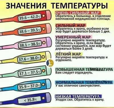 36,6 - не догма! Ученые определили, какая температура считается нормальной  — Новые Известия - новости России и мира сегодня