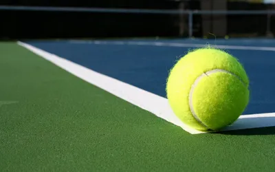 Стоит ли отдавать ребёнка в большой теннис? - 53 Новости