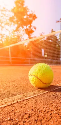 Обои tennis, на рабочий стол