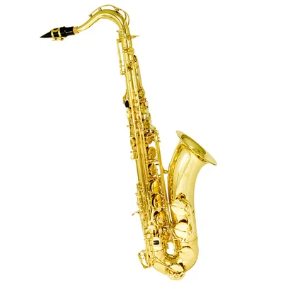 Vámonos!: B-flat Tenor Saxophone: B-flat Tenor Saxophone Part - Digital  Sheet Music Download