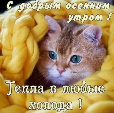 ТАНЮША💝💝💝СОЛНЫШКО🤗🤗🤗 (@tanyusha19.04)'s videos with Снег кружится -  ВИА Пламя | TikTok