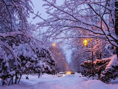 Теплого приятного зимнего вечера - 55 фото