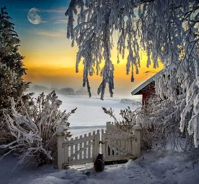 Теплого зимнего вечера (54 фото) - 54 фото
