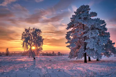 Раскрыта причина предстоящей теплой зимы в России - Погода Mail.ru