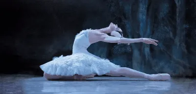 Чем отличается балет от хореографии - Ирбис