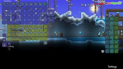 ЛУЧШЕЕ ОСОБОЕ ОРУЖИЕ ХАРДМОДА В ТЕРРАРИЯ! #terraria | TikTok