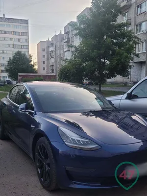 Видео: штурвал и разгон за две секунды — в Россию приехала первая Tesla  Model S Plaid — Лаборатория — Motor
