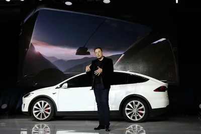 Фото Tesla Model Y - фотографии Тесла