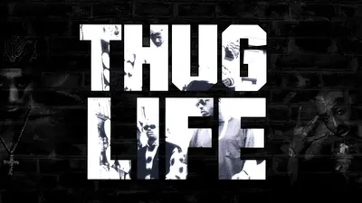 Thug life fur / coub (Сoub) :: хасл :: THUG LIFE / смешные картинки и  другие приколы: комиксы, гиф анимация, видео, лучший интеллектуальный юмор.