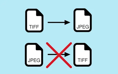 What's the difference between a JPEG and PNG, GIF, TIFF and EPS? - Neglia  Design
