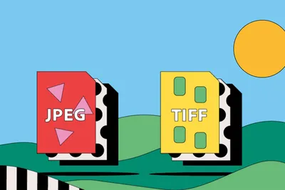 JPEG vs. TIFF: Which Is Best | Adobe