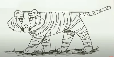 Бенгальский тигр - razukrashki.com | Раскраски, Рисовать, Рисунки