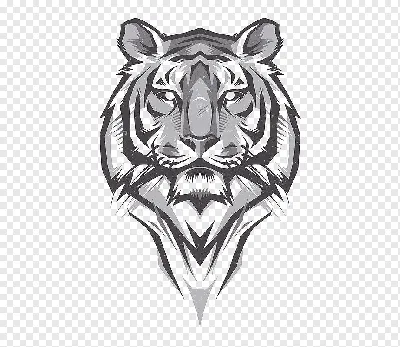 Морда тигра векторный рисунок - 69 фото