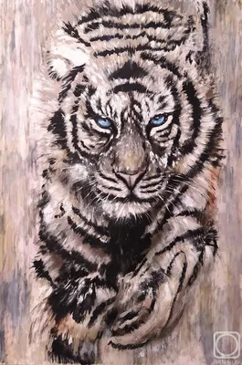 Как нарисовать амурского тигра поэтапно 5 уроков