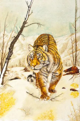 портрет тигра. антропоморфный тигр. цифровая иллюстрация Иллюстрация штока  - иллюстрации насчитывающей полосатые, сафари: 266665382